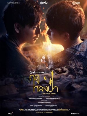 Mùa Lạc Trong Rừng