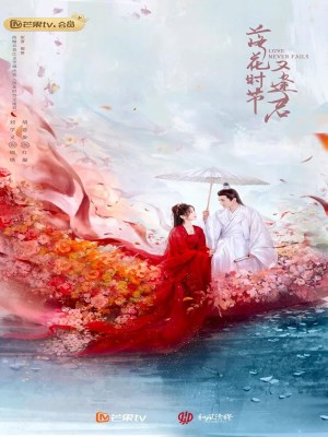 Mùa Hoa Rơi Gặp Lại Chàng